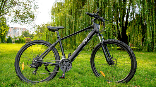 Begrüßen Sie den Sommer mit Ihrem E-Bike
