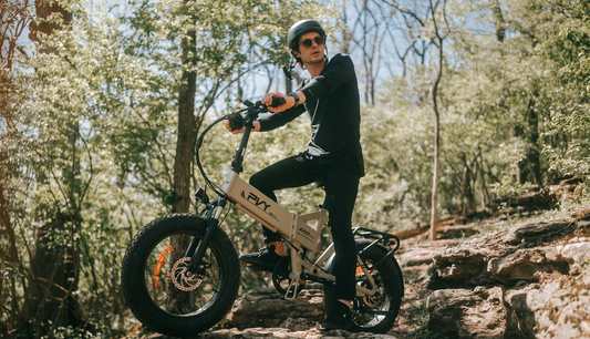 Fahren Sie mit PVY eBikes in den Herbst: Genießen Sie die Saison der farbenfrohen Abenteuer