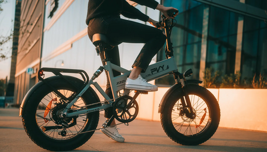 Umweltvorteile von E-Bikes