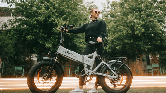 PVY Z20 Plus 500 vs. Engwe X : Ein umfassender Vergleich