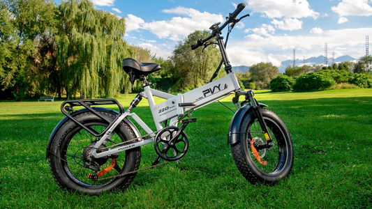 Entfesseln Sie die Kraft der PVY-Elektrobikes: Hügel mit Leichtigkeit bezwingen