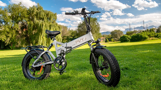 Erobern Sie die Berge: Die Wahl des richtigen E-Bikes mit PVY